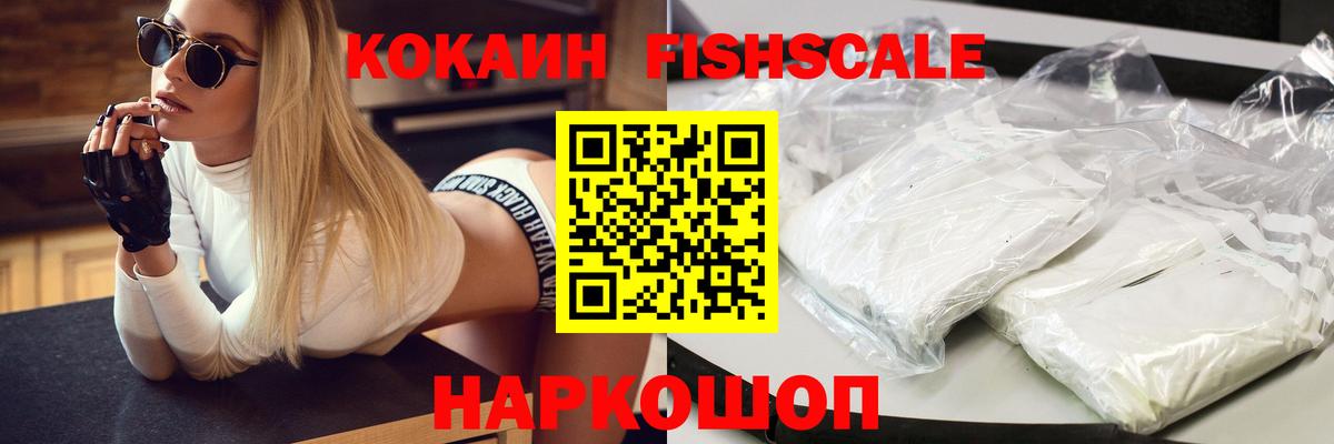 Сланцы  КОКАИН Fish Scale  Вход с VPN 