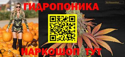 молекула духа Можга