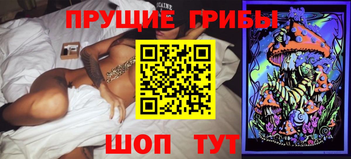 Сланцы  закладка  Вход с VPN  Галлюциногенные грибы Psilocybine cubensis 