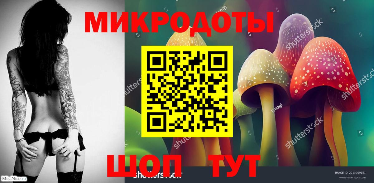 Галлюциногенные грибы MAGIC MUSHROOMS Сланцы